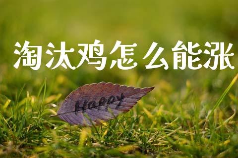 淘汰鸡怎么能涨_https://www.gongyisiwang.com_道指_第1张
