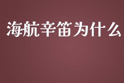 海航辛笛为什么_https://www.gongyisiwang.com_原油期货_第1张