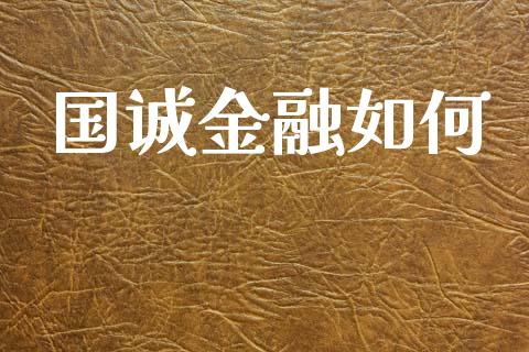 国诚金融如何_https://www.gongyisiwang.com_恒指期货_第1张
