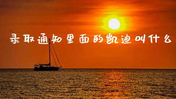 录取通知里面的凯迪叫什么_https://www.gongyisiwang.com_恒指期货_第1张