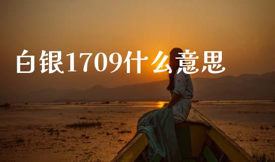 白银1709什么意思_https://www.gongyisiwang.com_恒指期货_第1张