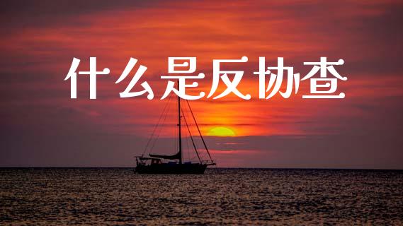 什么是反协查_https://www.gongyisiwang.com_广发期货手续费_第1张