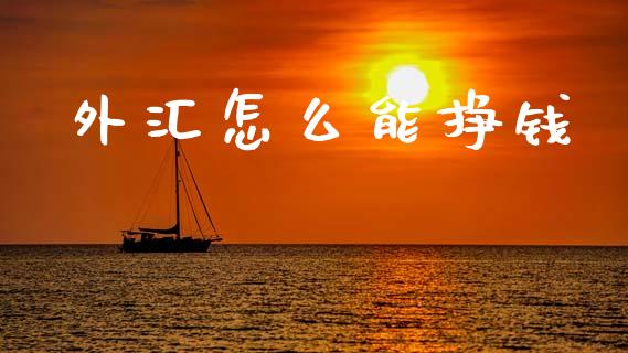 外汇怎么能挣钱_https://www.gongyisiwang.com_股指期货交易手续费_第1张