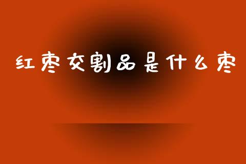 红枣交割品是什么枣_https://www.gongyisiwang.com_原油期货_第1张