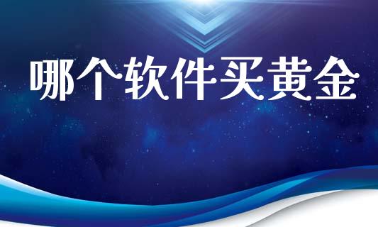 哪个软件买黄金_https://www.gongyisiwang.com_期货公司手续费排名_第1张