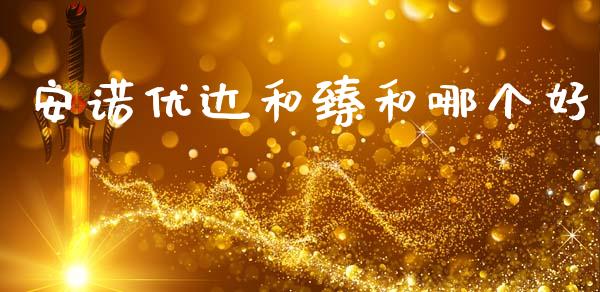 安诺优达和臻和哪个好_https://www.gongyisiwang.com_原油期货_第1张