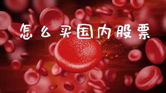 怎么买国内股票_https://www.gongyisiwang.com_焦炭期货手续费_第1张
