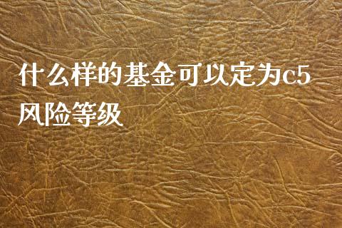 什么样的基金可以定为c5风险等级_https://www.gongyisiwang.com_广发期货手续费_第1张