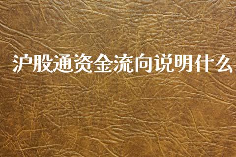 沪股通资金流向说明什么_https://www.gongyisiwang.com_恒指期货_第1张