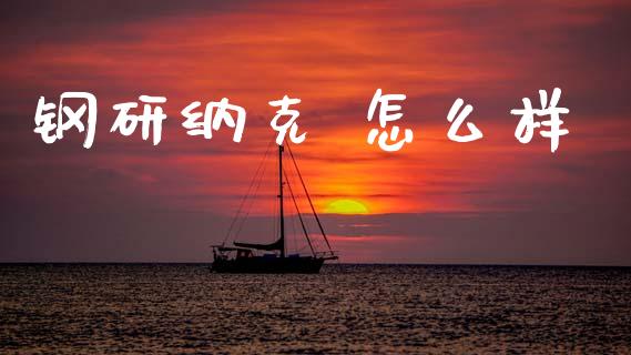 钢研纳克 怎么样_https://www.gongyisiwang.com_焦炭期货手续费_第1张