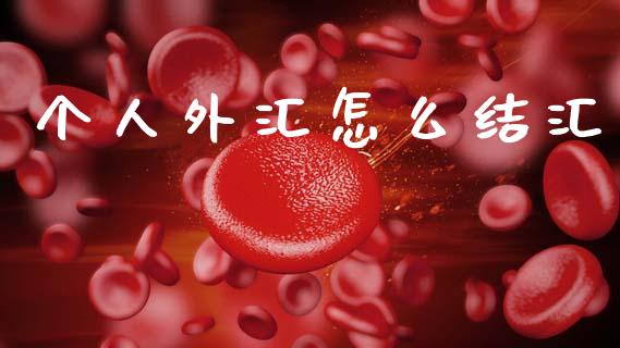 个人外汇怎么结汇_https://www.gongyisiwang.com_股指期货交易手续费_第1张