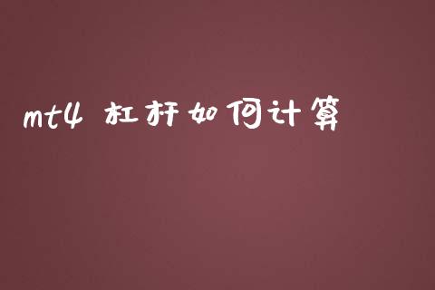 mt4 杠杆如何计算_https://www.gongyisiwang.com_道指_第1张