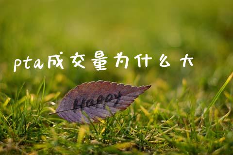 pta成交量为什么大_https://www.gongyisiwang.com_股指期货交易手续费_第1张