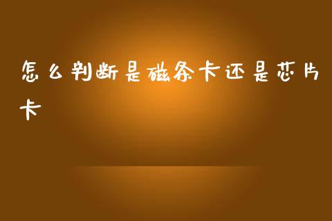 怎么判断是磁条卡还是芯片卡_https://www.gongyisiwang.com_原油期货_第1张