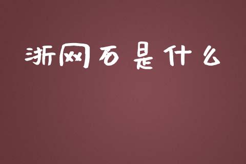 浙网石是什么_https://www.gongyisiwang.com_焦炭期货手续费_第1张