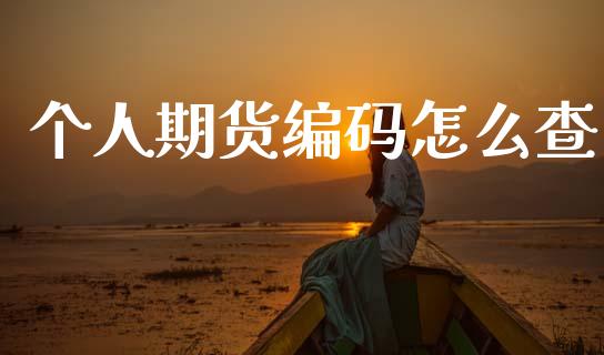 个人期货编码怎么查_https://www.gongyisiwang.com_恒指期货_第1张