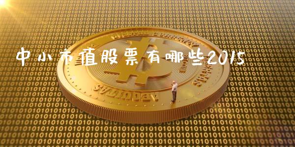 中小市值股票有哪些2015_https://www.gongyisiwang.com_股指期货_第1张