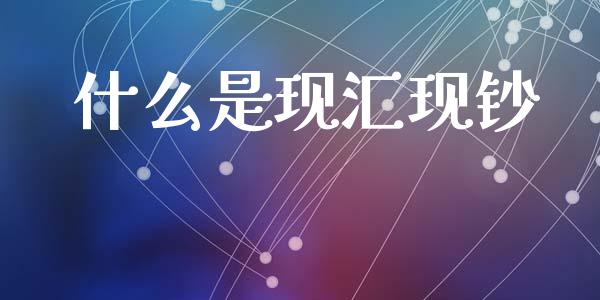 什么是现汇现钞_https://www.gongyisiwang.com_广发期货手续费_第1张