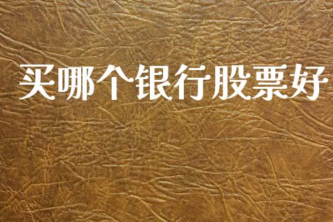 买哪个银行股票好_https://www.gongyisiwang.com_焦炭期货手续费_第1张