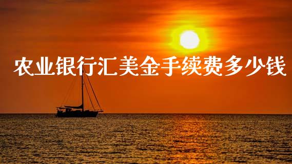 农业银行汇美金手续费多少钱_https://www.gongyisiwang.com_广发期货手续费_第1张