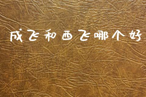 成飞和西飞哪个好_https://www.gongyisiwang.com_广发期货手续费_第1张