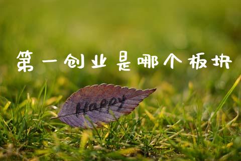 第一创业是哪个板块_https://www.gongyisiwang.com_原油期货_第1张