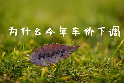 为什么今年车价下调_https://www.gongyisiwang.com_广发期货手续费_第1张