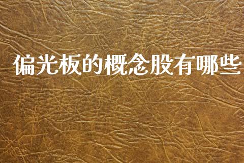 偏光板的概念股有哪些_https://www.gongyisiwang.com_股指期货_第1张