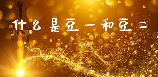 什么是豆一和豆二_https://www.gongyisiwang.com_广发期货手续费_第1张