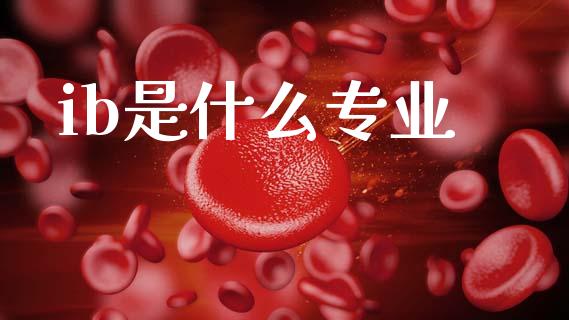 ib是什么专业_https://www.gongyisiwang.com_期货公司手续费排名_第1张