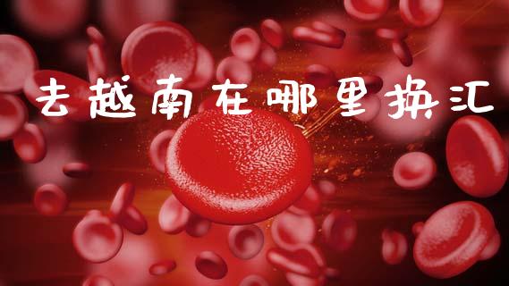 去越南在哪里换汇_https://www.gongyisiwang.com_期货公司手续费排名_第1张