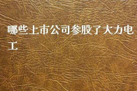 哪些上市公司参股了大力电工_https://www.gongyisiwang.com_期货公司手续费排名_第1张