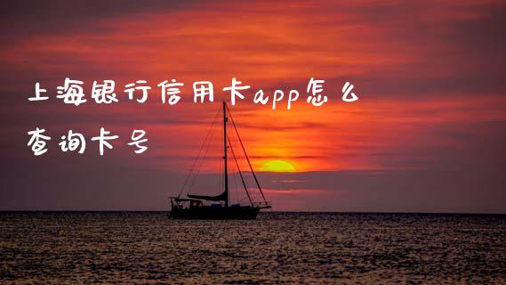 上海银行信用卡app怎么查询卡号_https://www.gongyisiwang.com_道指_第1张