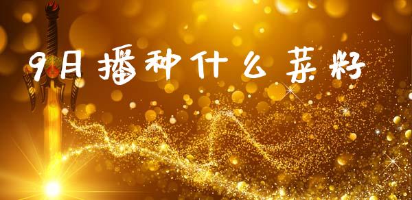 9月播种什么菜籽_https://www.gongyisiwang.com_股指期货交易手续费_第1张