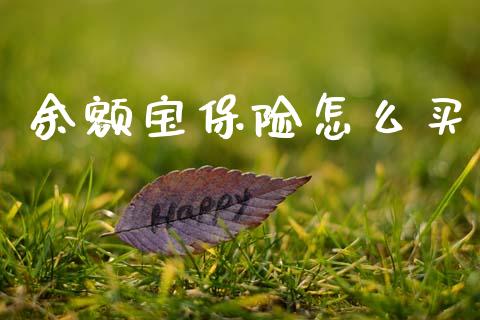 余额宝保险怎么买_https://www.gongyisiwang.com_期货公司手续费排名_第1张