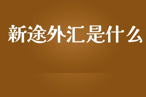 新途外汇是什么_https://www.gongyisiwang.com_股指期货交易手续费_第1张