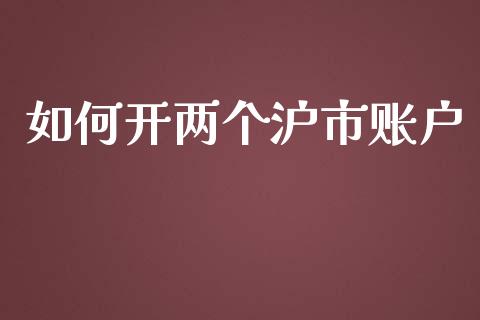 如何开两个沪市账户_https://www.gongyisiwang.com_期货公司手续费排名_第1张