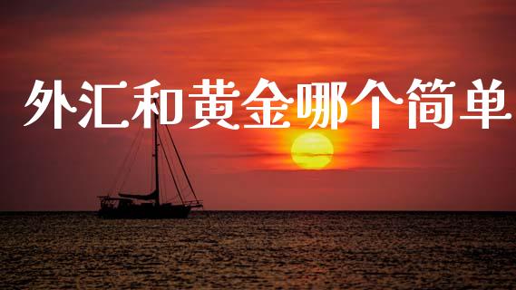 外汇和黄金哪个简单_https://www.gongyisiwang.com_股指期货交易手续费_第1张