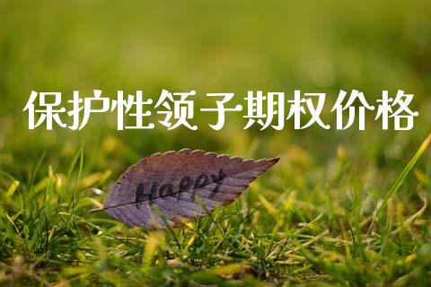保护性领子期权价格_https://www.gongyisiwang.com_股指期货_第1张