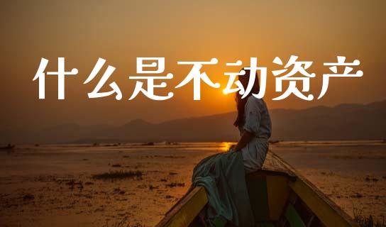 什么是不动资产_https://www.gongyisiwang.com_道指_第1张
