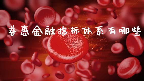 普惠金融指标体系有哪些_https://www.gongyisiwang.com_原油期货_第1张