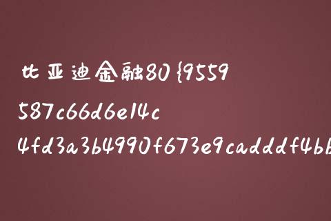 比亚迪金融80%审批多久_https://www.gongyisiwang.com_焦炭期货手续费_第1张