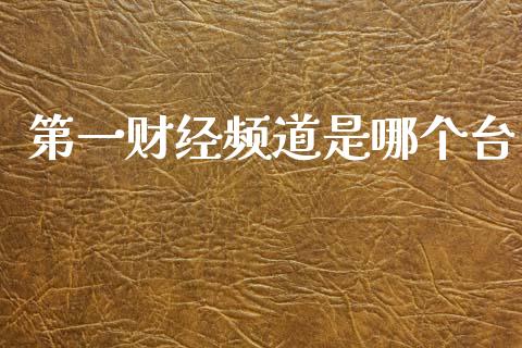 第一财经频道是哪个台_https://www.gongyisiwang.com_股指期货交易手续费_第1张