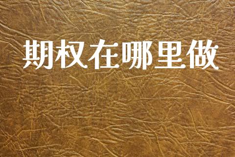 期权在哪里做_https://www.gongyisiwang.com_期货公司手续费排名_第1张