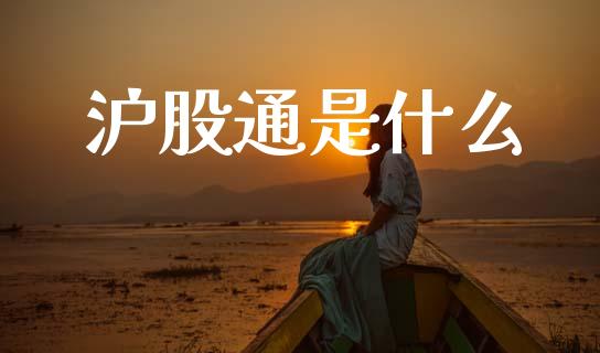 沪股通是什么_https://www.gongyisiwang.com_股指期货_第1张