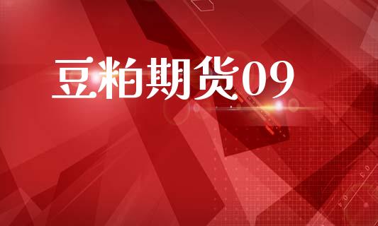 豆粕期货09_https://www.gongyisiwang.com_股指期货_第1张