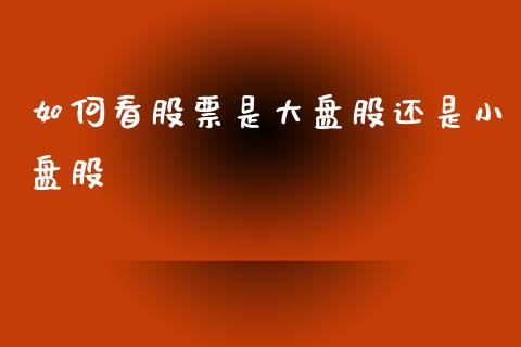 如何看股票是大盘股还是小盘股_https://www.gongyisiwang.com_股指期货交易手续费_第1张