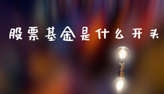 股票基金是什么开头_https://www.gongyisiwang.com_原油期货_第1张