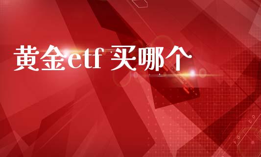 黄金etf 买哪个_https://www.gongyisiwang.com_股指期货交易手续费_第1张