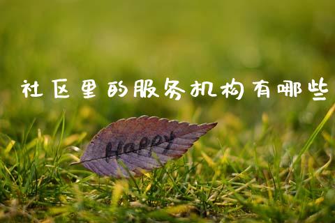社区里的服务机构有哪些_https://www.gongyisiwang.com_股指期货交易手续费_第1张